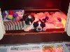  - Chiots Schapendoes disponibles - puppies beschikbaar